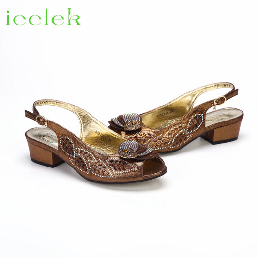 2023 Newest INS Style Brown Color Elegant Low Heels Nigeria Popular Design African Ladies Shoes And Bag Set for Wedding Party