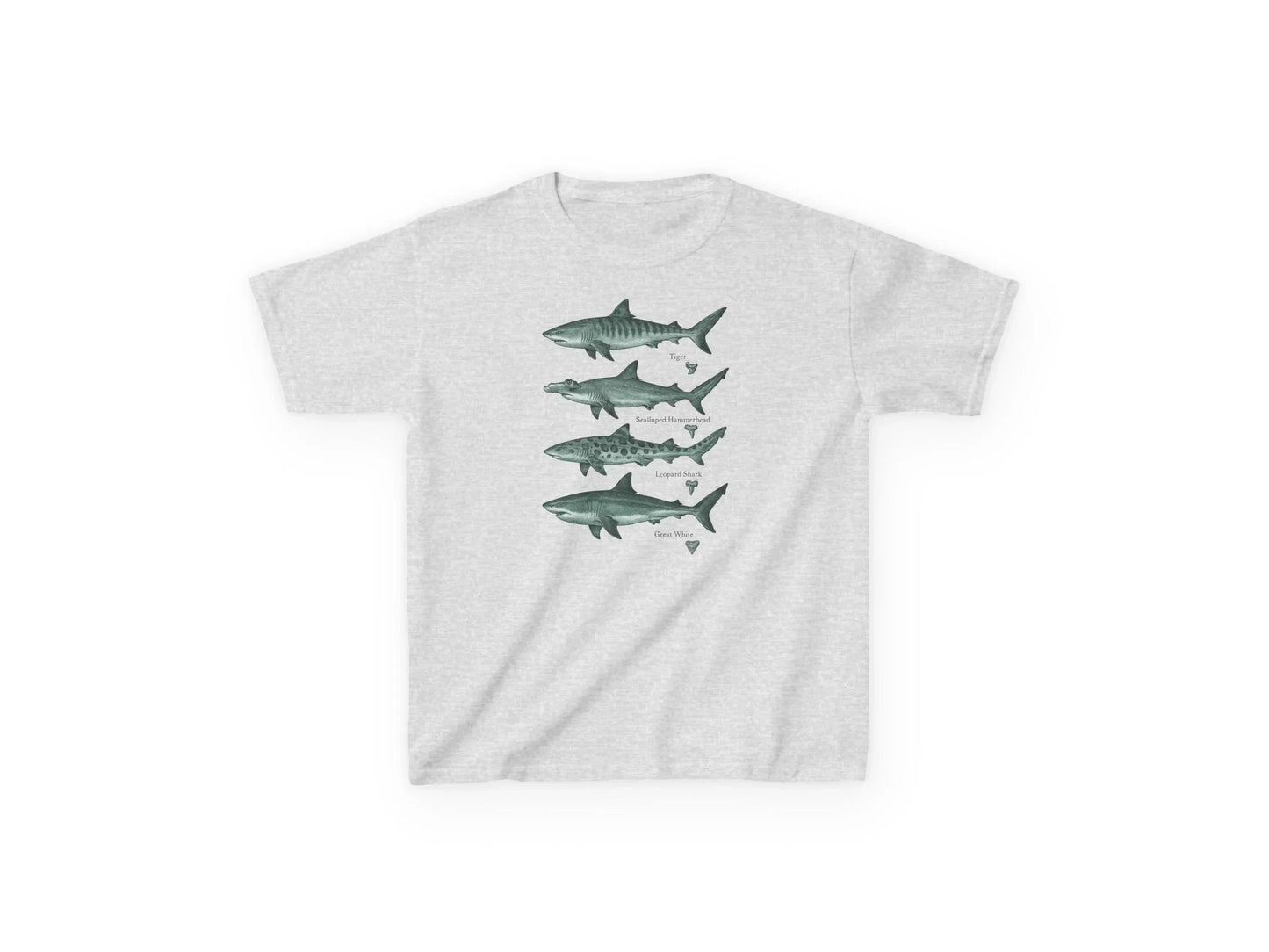 Shark Species T-Shirt, Vintage Style Marine Biology T-Shirt Featuring Natural Tiger Shark, Hammerhead Shark, and Leopard Shark
