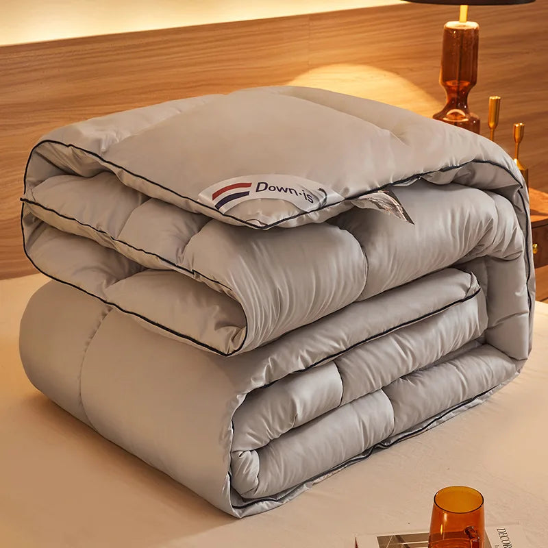 New winter thick quilt core, feather velvet quilt, spring and autumn warm thick quilt, suitable for all seasons