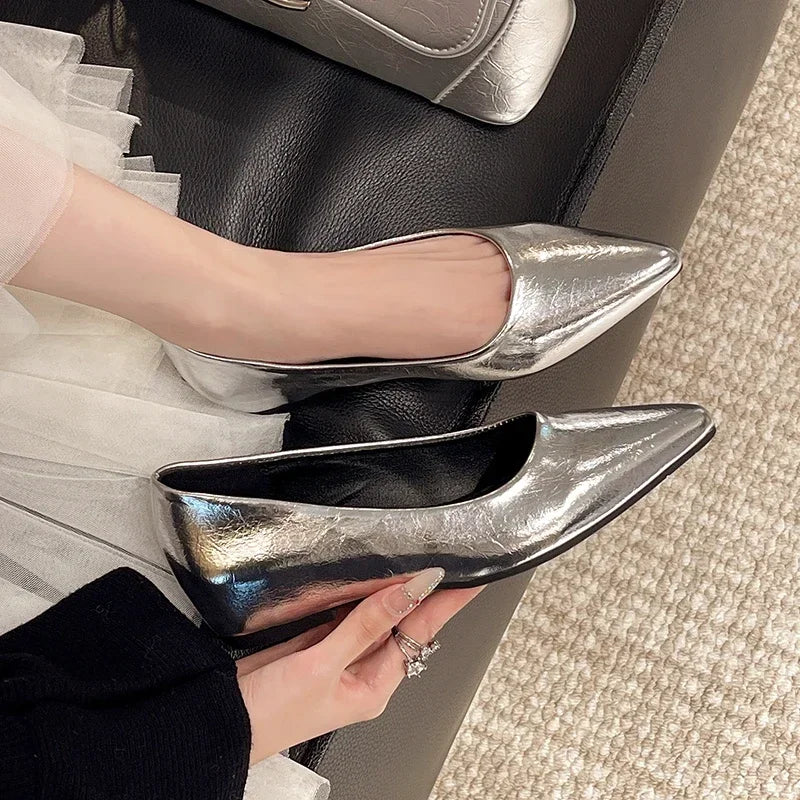 Fashionable low-heeled women's single shoes. Spring/Summer new style. Pointed toe office and commuting comfortable leather shoes