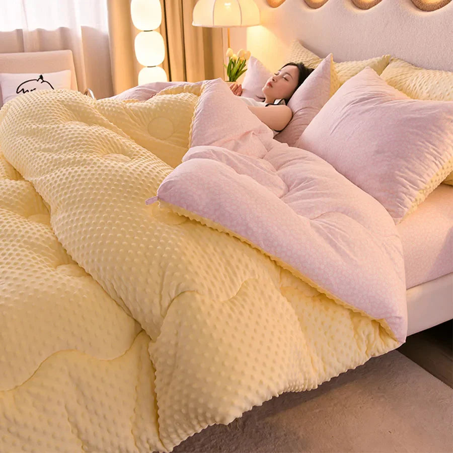 Microfiber is thickened by 3D beanie velvet to protect the warm winter blanket by single double fall and winter