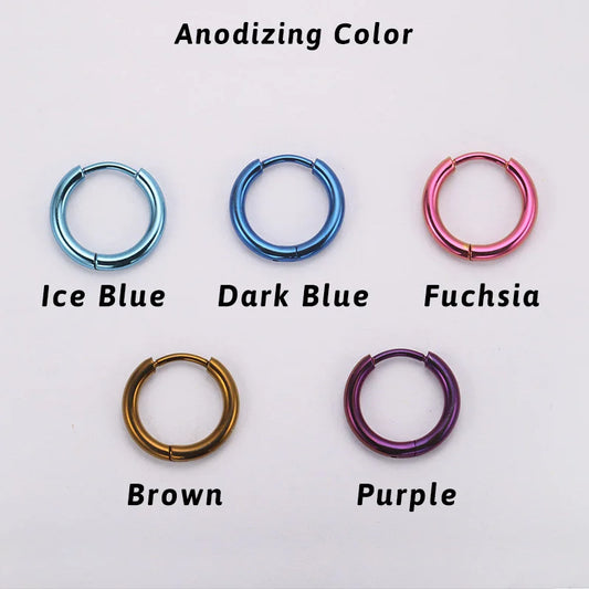 2PCS G23 Titanium Earring High Quality Hoop CZ Hinged Segment Round Nose Ring for Women Ear Cartilage Helix Piercing Anodizing