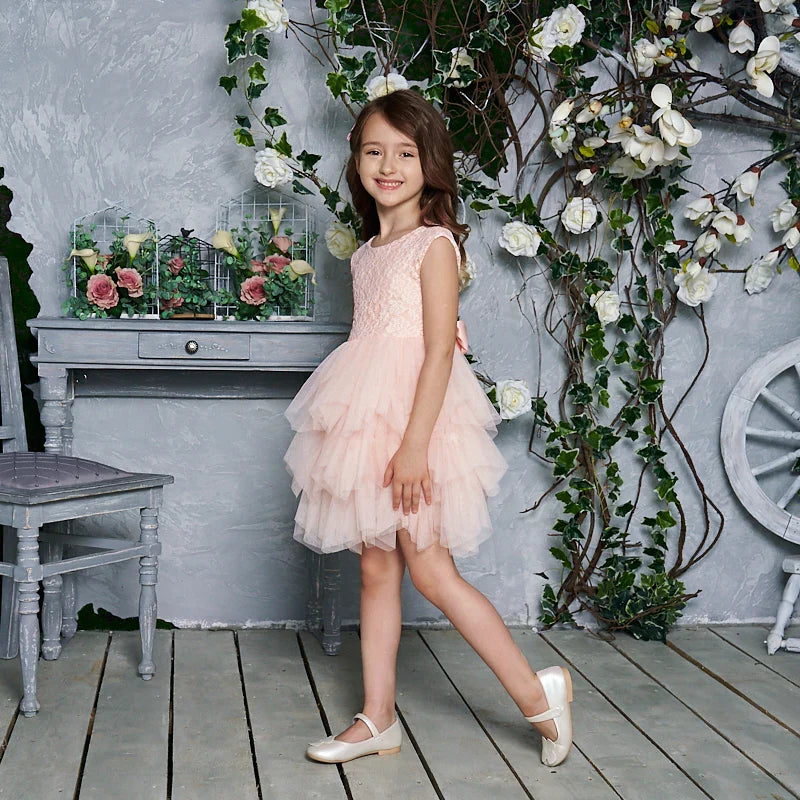 Summer Princess Dresses for Girl Lace Tulle Party Wedding Dress With Sash Baby Clothes 1-6Y E1953