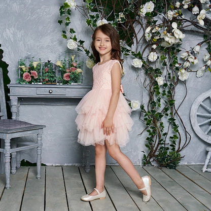 Summer Princess Dresses for Girl Lace Tulle Party Wedding Dress With Sash Baby Clothes 1-6Y E1953