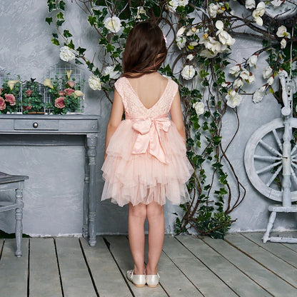 Summer Princess Dresses for Girl Lace Tulle Party Wedding Dress With Sash Baby Clothes 1-6Y E1953
