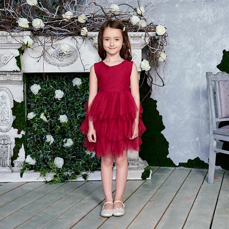 Summer Princess Dresses for Girl Lace Tulle Party Wedding Dress With Sash Baby Clothes 1-6Y E1953