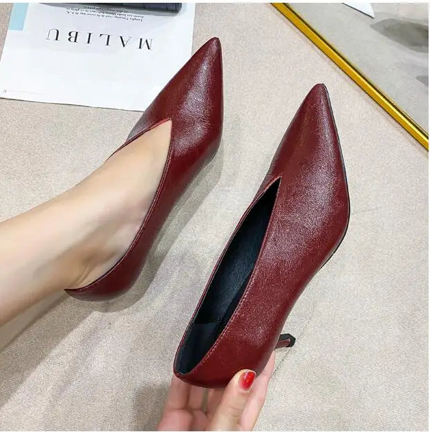 Sexy Autumn New Designer Vintage Evening Shoes Ladies Fashion Pointed Toe V Cut Woman Shoes High Heel Pumps Sexy C323