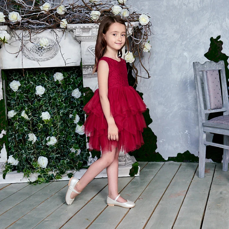 Summer Princess Dresses for Girl Lace Tulle Party Wedding Dress With Sash Baby Clothes 1-6Y E1953