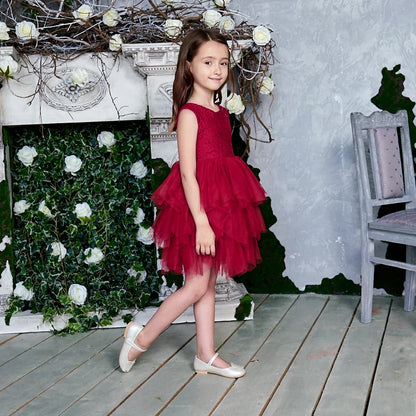 Summer Princess Dresses for Girl Lace Tulle Party Wedding Dress With Sash Baby Clothes 1-6Y E1953