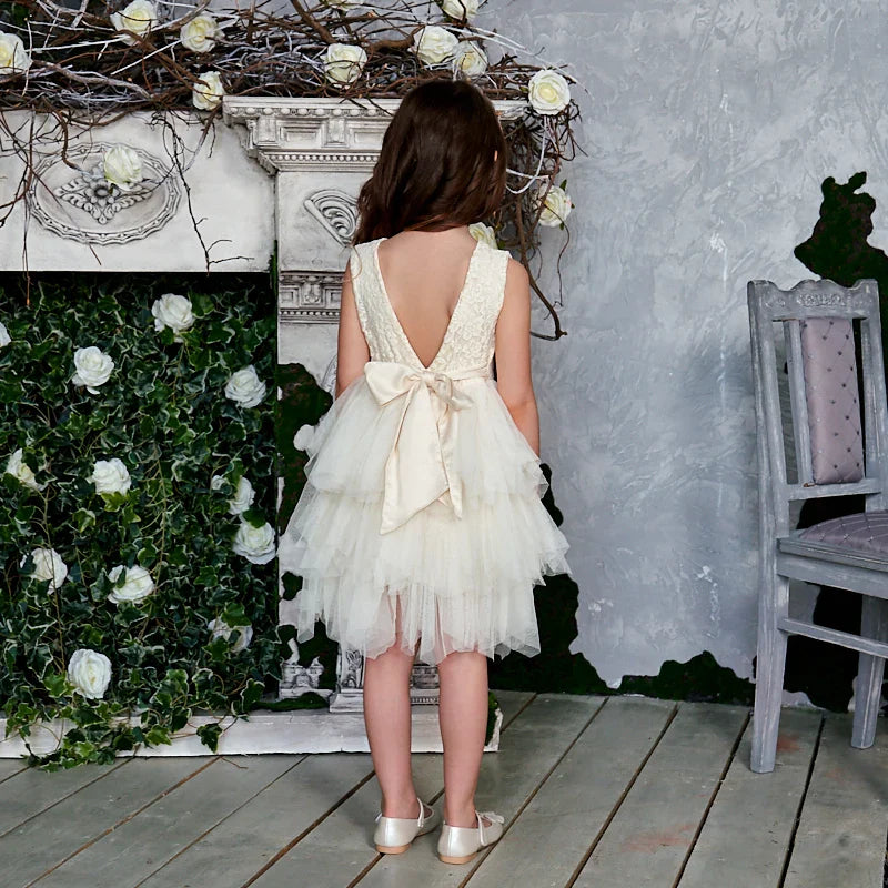 Summer Princess Dresses for Girl Lace Tulle Party Wedding Dress With Sash Baby Clothes 1-6Y E1953