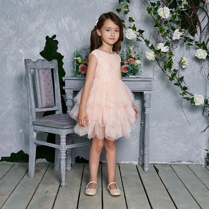 Summer Princess Dresses for Girl Lace Tulle Party Wedding Dress With Sash Baby Clothes 1-6Y E1953
