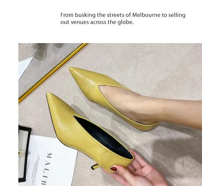 Sexy Autumn New Designer Vintage Evening Shoes Ladies Fashion Pointed Toe V Cut Woman Shoes High Heel Pumps Sexy C323