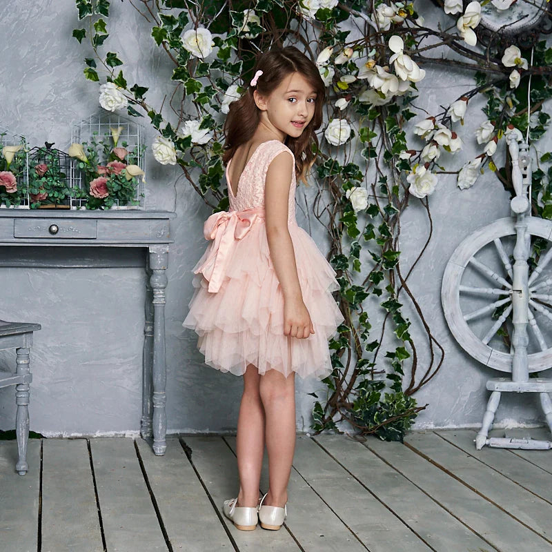 Summer Princess Dresses for Girl Lace Tulle Party Wedding Dress With Sash Baby Clothes 1-6Y E1953