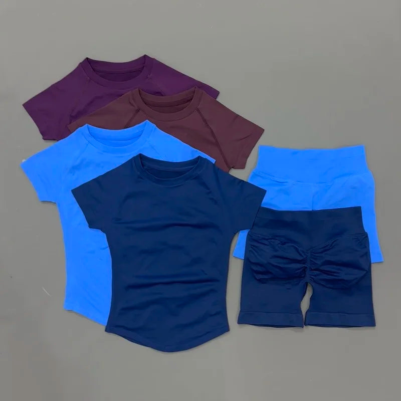 2 Piece Gym Sets Women Seamless Short Sleeve Top Butt Lifting Shorts Workout Fitness Running Sports Yoga Tracksuit