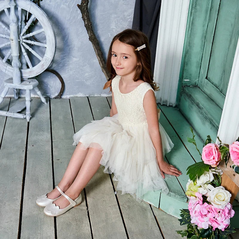 Summer Princess Dresses for Girl Lace Tulle Party Wedding Dress With Sash Baby Clothes 1-6Y E1953