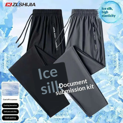 2-Pack Men's Quick Dry Ice Silk Sports Pants, Elastic Waist, Plus Size, Lightweight for Summer Fitness, Hiking & Running