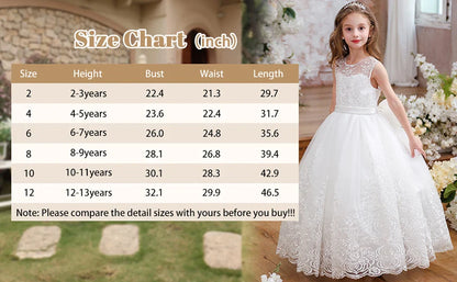 lower Girl Dress Embroidery Tulle Lace for Kid Bridesmaid Birthday Party Communion Formal Princess Bow Ball Gown