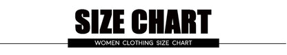 Mouse Chip An' Dale Cartoon Print Embroidery Fleece Sweatshirt New Women O-Neck Pullover Jumper Tops