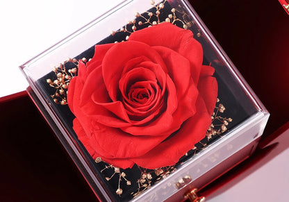 Luxury Red Zircon Pendant Necklace With Apple Gift Box Fashion Jewelry For Women Girlfriend 2023 New Romantic Christmas Gifts