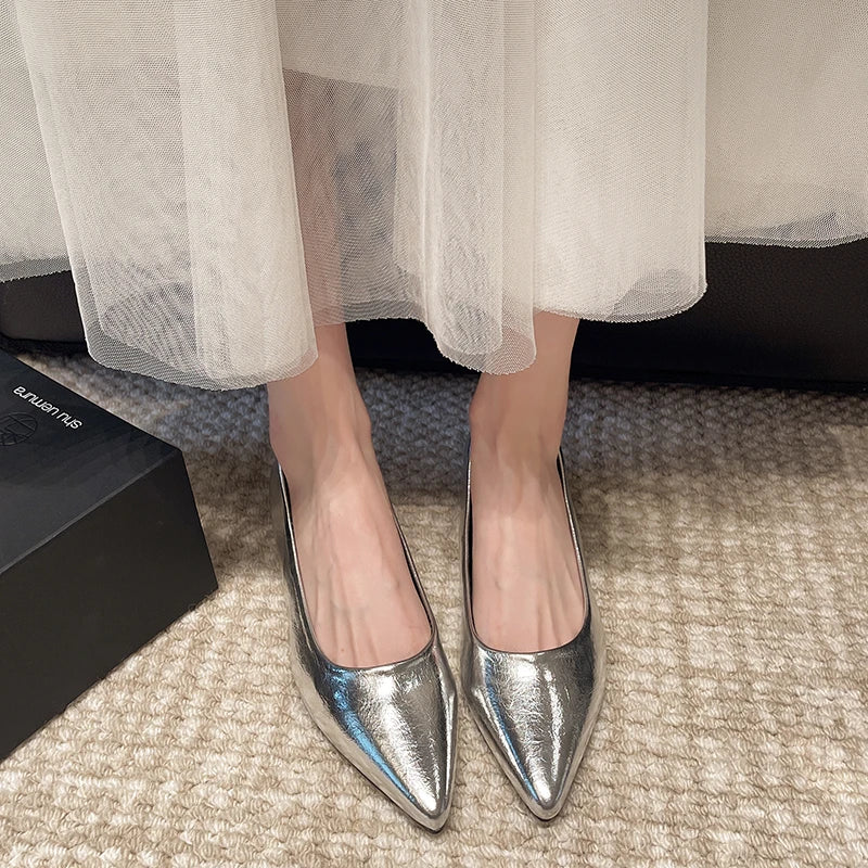 Fashionable low-heeled women's single shoes. Spring/Summer new style. Pointed toe office and commuting comfortable leather shoes