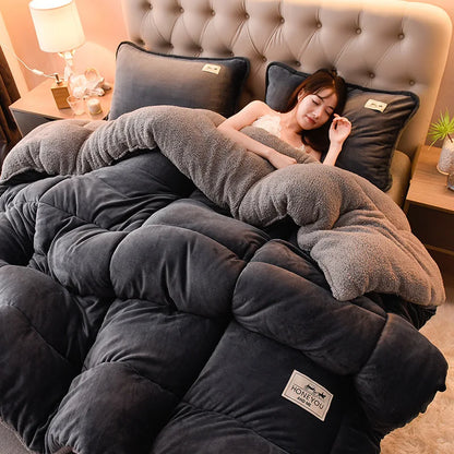Household Thickened Warm Quilt Core Double-sided Velvet Lamb Wool Autumn Winter Blanket dormitory Warm Double-sided Velvet Core