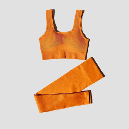 2Pcs Women Sports Set Seamless Yoga Set Fitness Suit Gym Leggings Bra Workout Sportswear  Active Wear Gym Clothing
