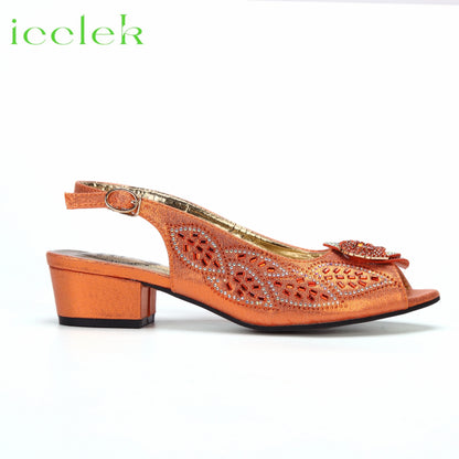 2023 Newest INS Style Brown Color Elegant Low Heels Nigeria Popular Design African Ladies Shoes And Bag Set for Wedding Party