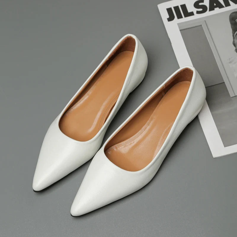 New Pointed Toe Shallow Mouth Square Heel Small Leather Shoes Women's Elegant Fashion High Heels Dress Shoes Zapatos Mujer