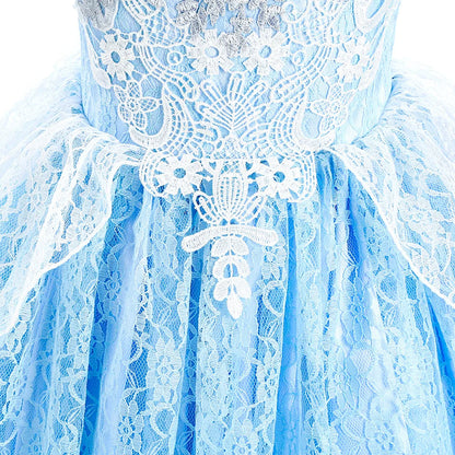 Kid Chic Cinderella Lace Ball Gown Princess Cosplay Floral Party Dress Fairy Punmkin Car Girls Story Role Play Carnival Costume