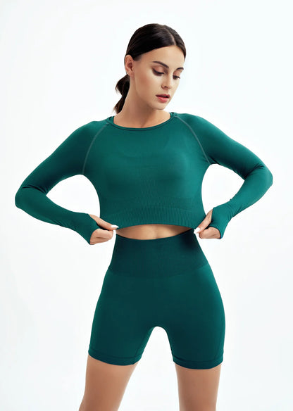 Seamless Yoga Set Gym Clothes Sportswear Yoga Suits For Women