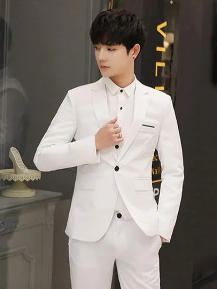 Men's 3 Piece Suit Notch Lapel Business Casual Wedding Groom Formal Wear Summer
