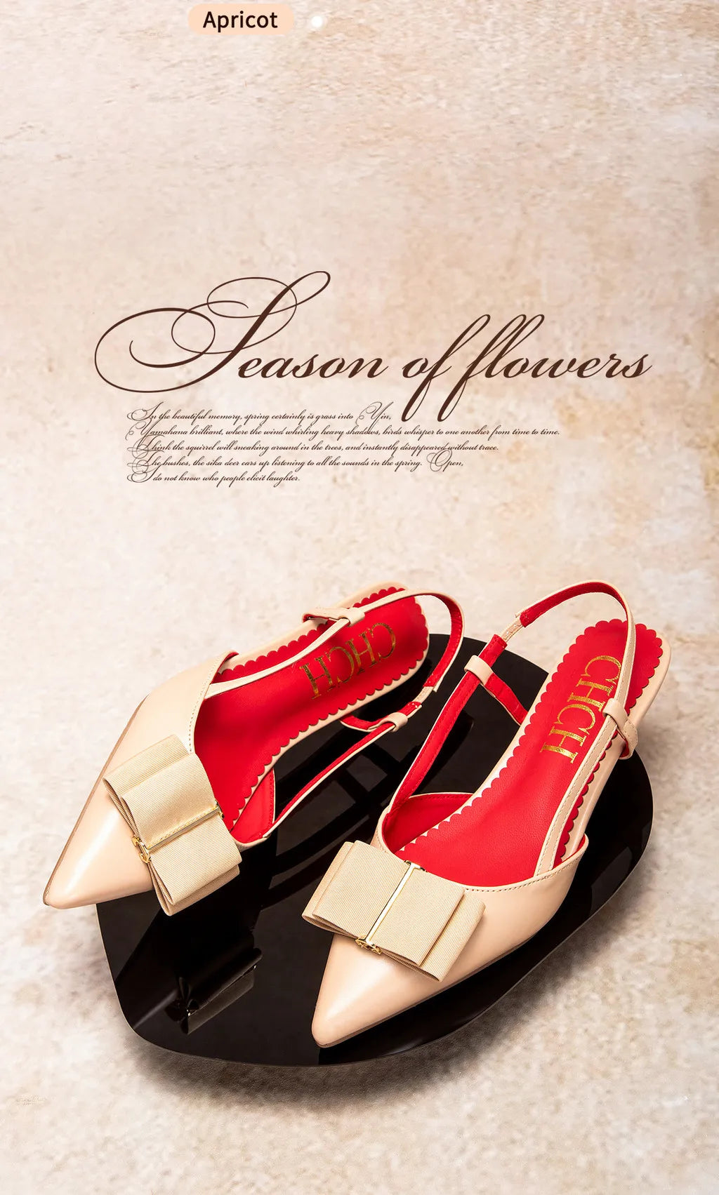 Woman High Heels Brown New Summer Strap Design Pointed Casual Elegant Workplace Ladies Classic Sandals