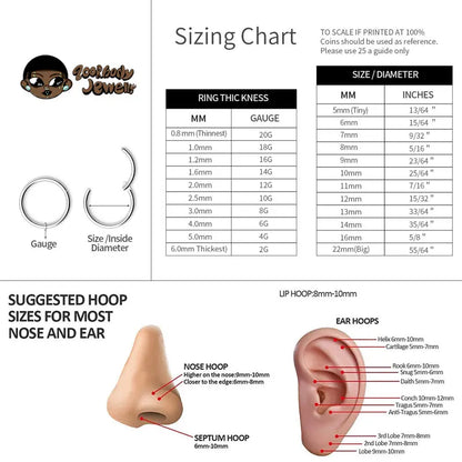 2PCS G23 Titanium Earring High Quality Hoop CZ Hinged Segment Round Nose Ring for Women Ear Cartilage Helix Piercing Anodizing