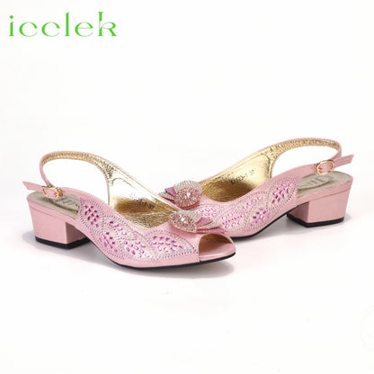 2023 Newest INS Style Brown Color Elegant Low Heels Nigeria Popular Design African Ladies Shoes And Bag Set for Wedding Party