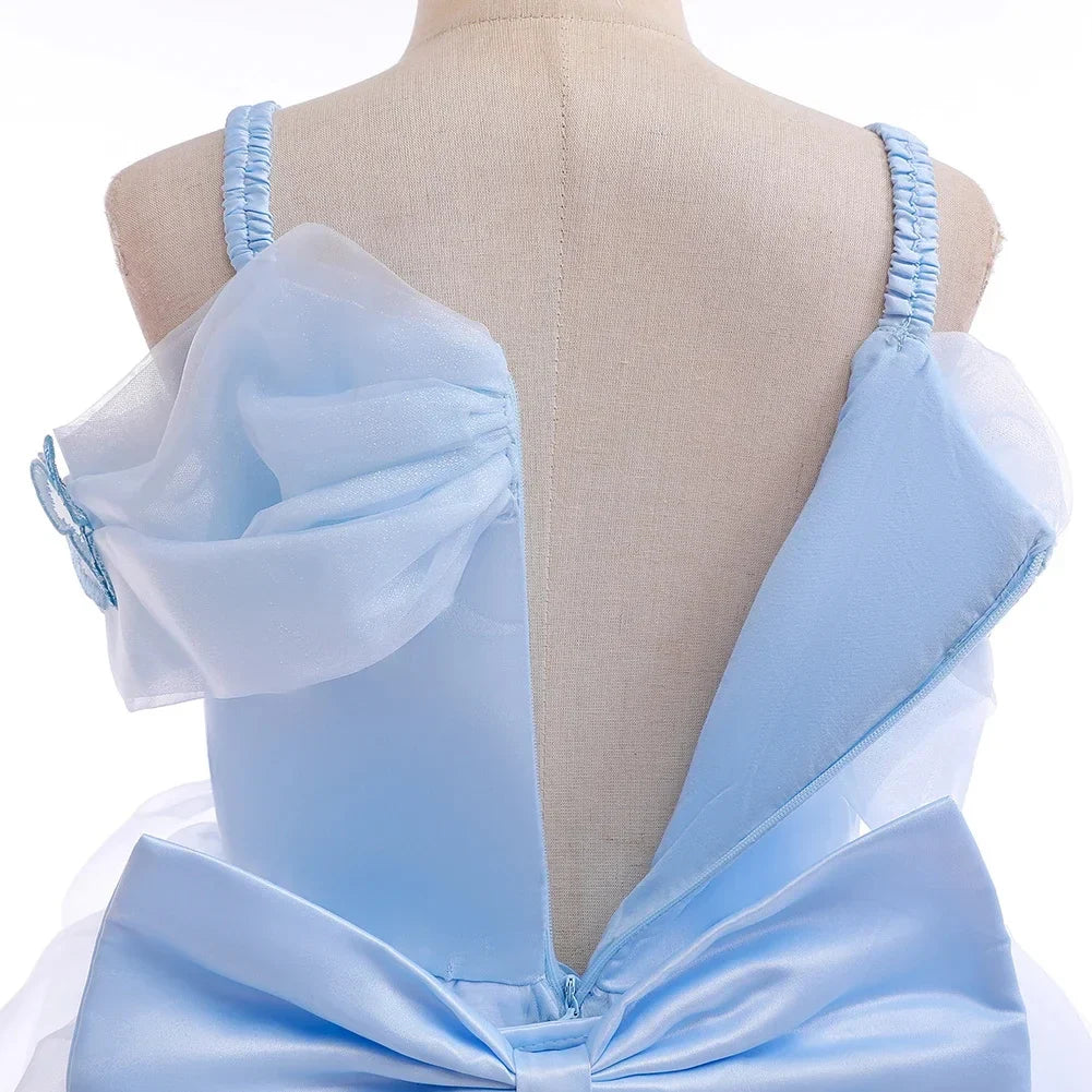 Fashion Embroidery Butterfly Princess Dress Girls Cinderella Cosplay Costumes Blue Gown for Carnival Birthday Evening Dress