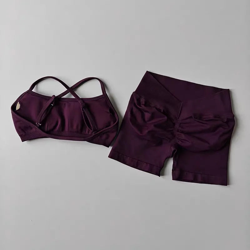 Women's Seamless Quick Dry Fitness Set Sports Bra And Hip Lifting V-Waist Yoga Shorts Pilates Training Clothing Gym Set