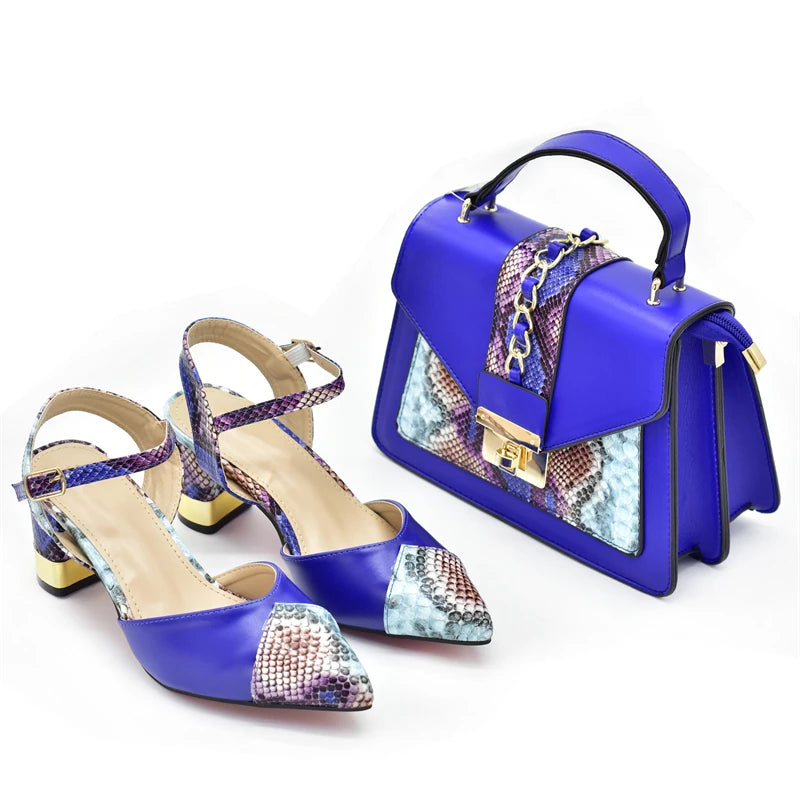 Shoe and Bag Set for Party in Women Nigerian Heels Women Luxury Matching Shoes and Hand Bag for Women 2026 Luxury Designer Pumps