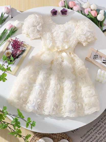 Girl's three-dimensional rose bubble sleeve mesh dress, children's birthday party princess dress, stylish dress