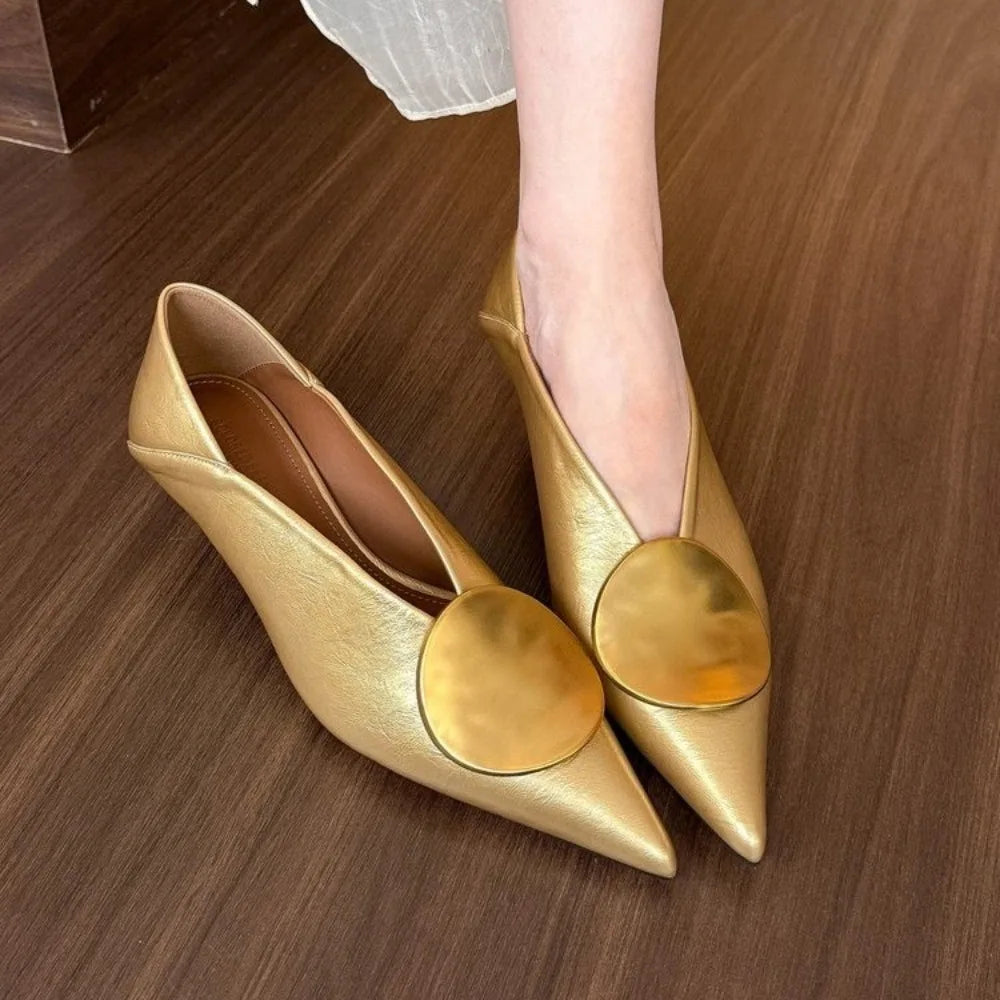 Luxury Women Heeled Shoes Pointed Toe Low Heels Designer Shoes Sexy Dress Fashion Woman Pumps 2025 Summer Elegant Zapatos Mujer