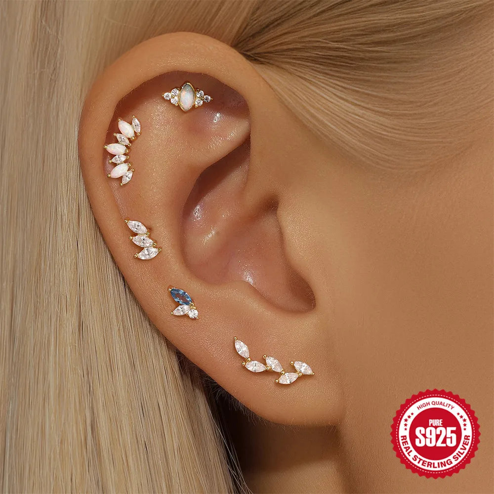 1PC 925 Sterling Silver Crown Horse Eye Zircon Heart Flat Head Cartilage Piercing Stud Earring For Women Claasic Earring