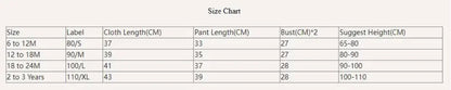 2024 Summer Casual Clothes Fashion Baby Boy's Suit Set Top Shorts 2PCS Baby Clothing Set For Boys Infant Suits Kids Clothes