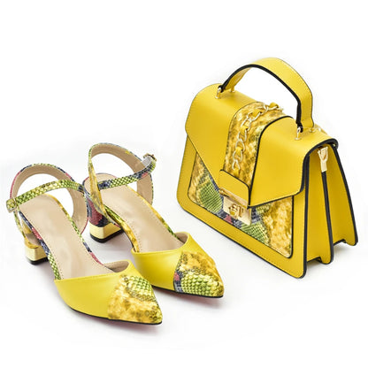 Shoe and Bag Set for Party in Women Nigerian Heels Women Luxury Matching Shoes and Hand Bag for Women 2026 Luxury Designer Pumps