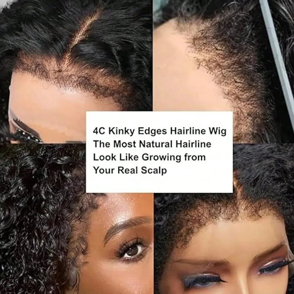 13x4 Curly Lace Front Human Hair Wig Brazilian Hair Pre Plucked Baby Hair Ear to Ear HD Lace Natural Color Full Edges Look
