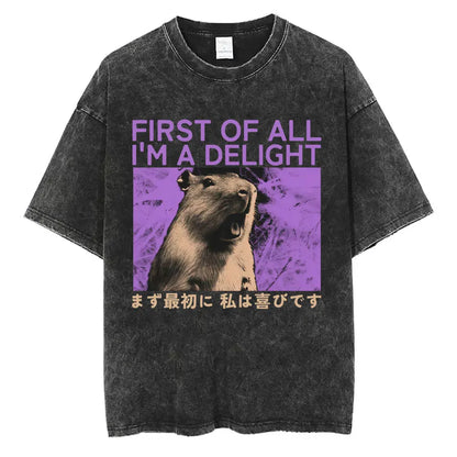 I Do Not Think Therefore I Do Not Am T-shirt Funny Japanese Style Opossum Vintage Washed T Shirt Unisex Fashion Humor T-shirts