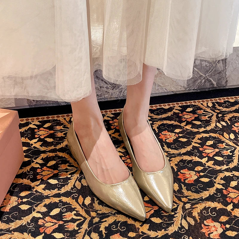 Fashionable low-heeled women's single shoes. Spring/Summer new style. Pointed toe office and commuting comfortable leather shoes