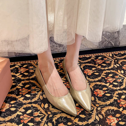 Fashionable low-heeled women's single shoes. Spring/Summer new style. Pointed toe office and commuting comfortable leather shoes