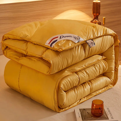New winter thick quilt core, feather velvet quilt, spring and autumn warm thick quilt, suitable for all seasons