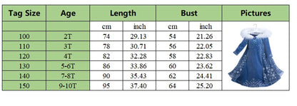 Girls Princess Dress Cosplay Elsa Children Snow Queen Costume Kids Halloween Carnival Birthday Holiday Party Dress