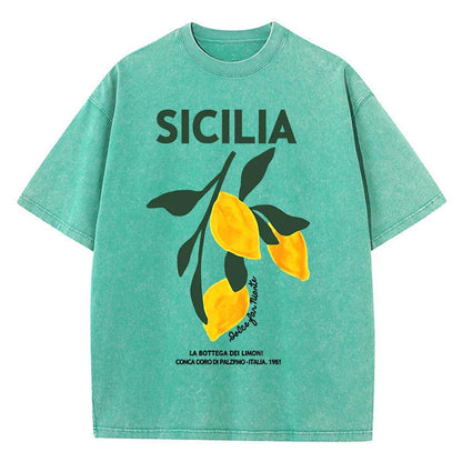 Lemon Fruit Design Women Washed T-Shirts Y2K Casual T Shirt Summer Hip Hop Top Cotton Loose Short Sleeve
