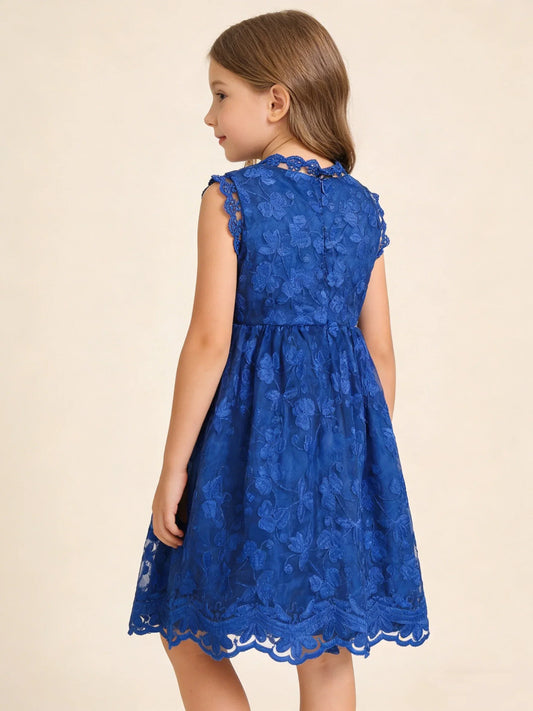 Summer Girl's Trendy Sleeveless Flower Embroidery Princess Dress Party Gown Lace Tulle Skirt Dress